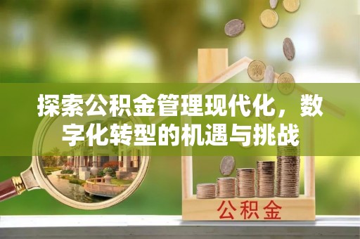 蒙山探索公积金管理现代化，数字化转型的机遇与挑战