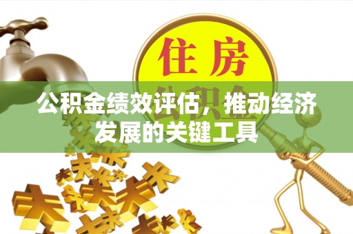 蒙山公积金绩效评估，推动经济发展的关键工具