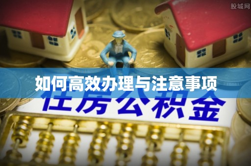 蒙山如何高效办理与注意事项