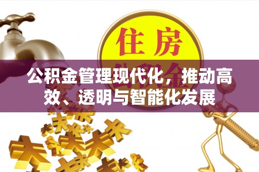 蒙山公积金管理现代化，推动高效、透明与智能化发展