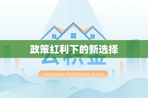 蒙山政策红利下的新选择