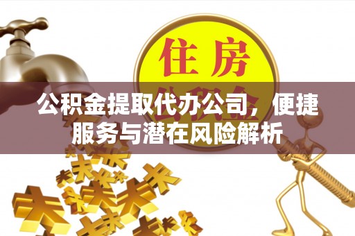 蒙山公积金提取代办公司，便捷服务与潜在风险解析
