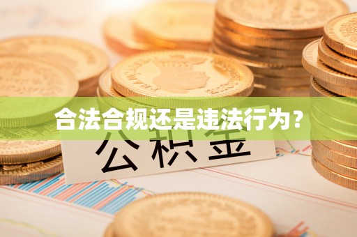 蒙山合法合规还是违法行为？